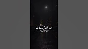 يا أيها الذين آمنوا اجتنبوا كثيرا من الظن إن بعض الظن إثم | سورة الحجرات | أحمد خضر