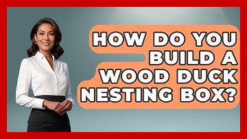 How Do You Build A Wood Duck Nesting Box? - Bird Watching Diaries