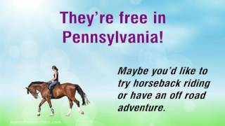Wellsboro Pennsylvania has been nominated for 2017 America s Main Streets Contest