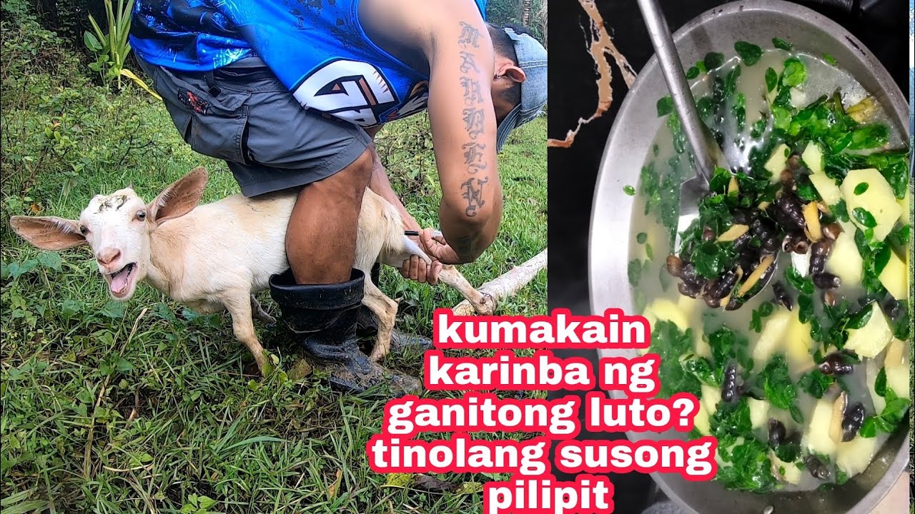 First time ko mag injection ng Kambing+napa extra rice c CJ sa sarap ng ...