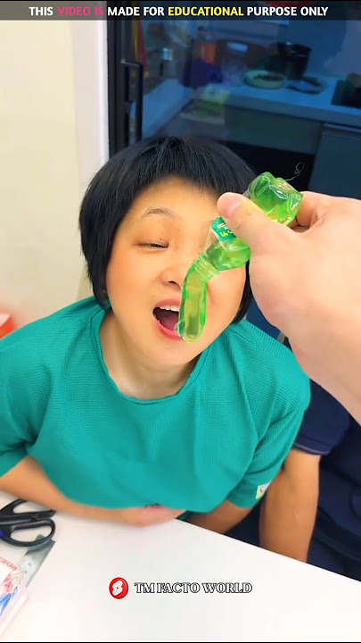 Dog for jelly 🍯🐕 |New Viral Gadgets, Smart Appliances, Kitchen Utensils/ Home Invention