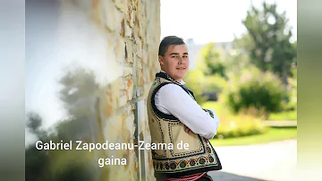 Gabriel Zapodeanu-Zeama de gaina