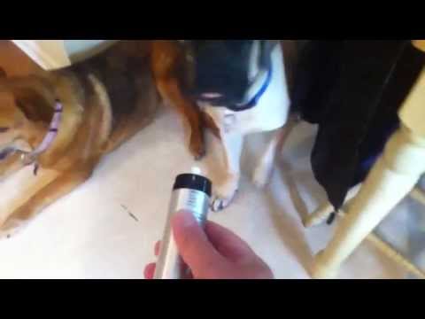 Dog Spray Cologne