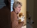Ice Jam Flood Swallowed Her Home in 3 Minutes #rescue #wildliferescue #dogrescue #animalrescue