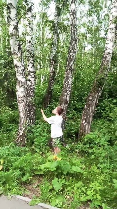 Белая берёзонька - YouTube