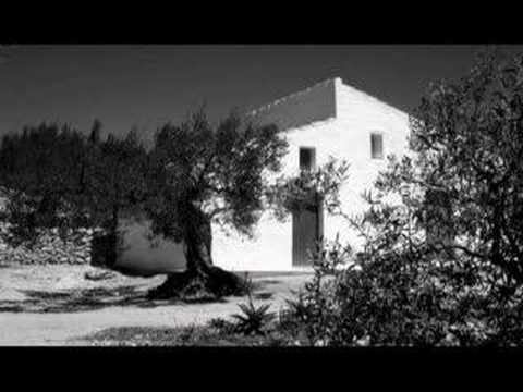 Vídeo: Qui va crear l'olivera?