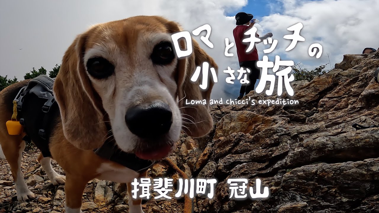 【冠山】山頂直下の壁「カンムリッジ」を超えろ！犬連れ登山