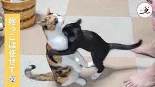 飼い主さんに抱っこをおねだりするはずが…？【PECO TV】