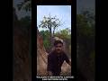 Carefree Walk through Pai Canyon #peacefulvibes