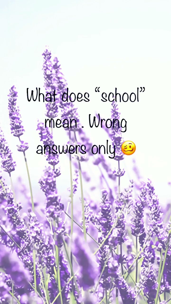 What Does school Mean YouTube What Does school Mean YouTube