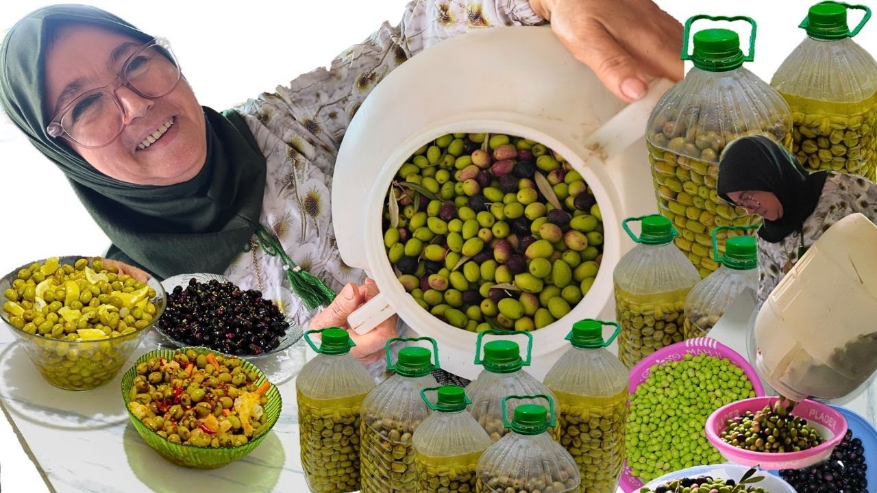 جا وقت الزيتون البلدي وبثمن مناسب هاد العام | طريقة تخليل الزيتون بحال لي كيتباع وأفضل 😍