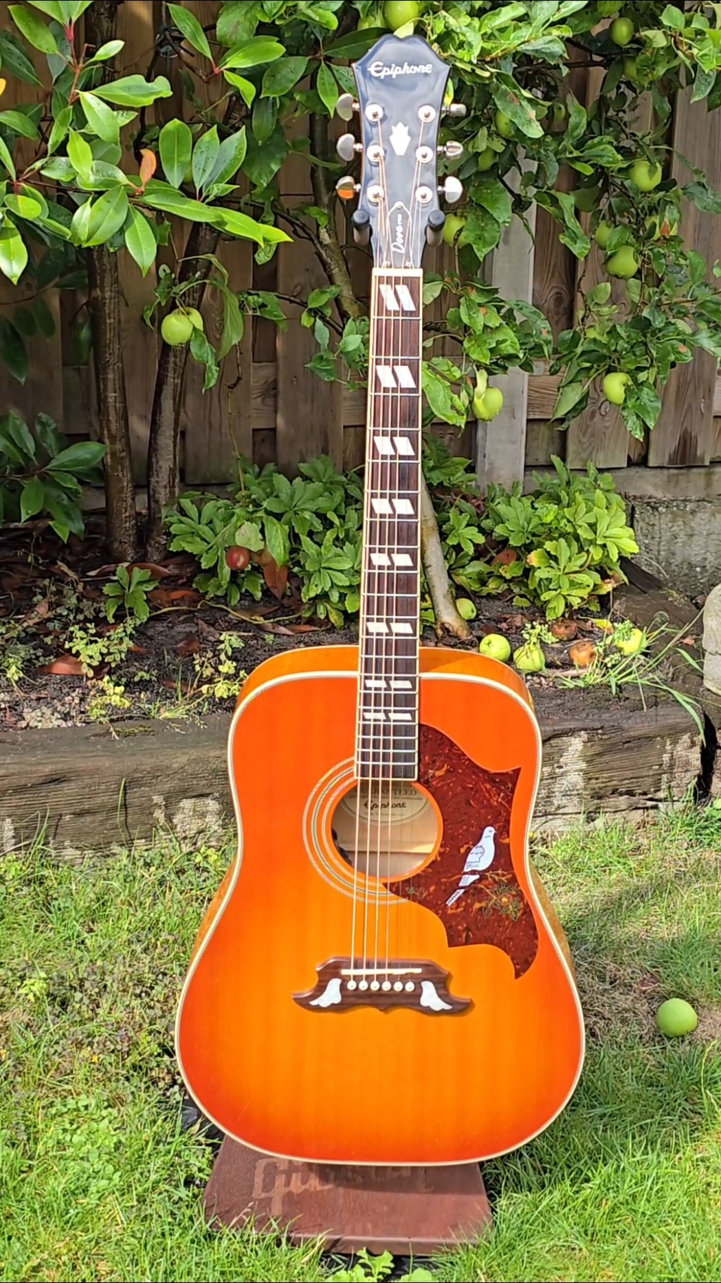 Epiphone Dove Pro - YouTube