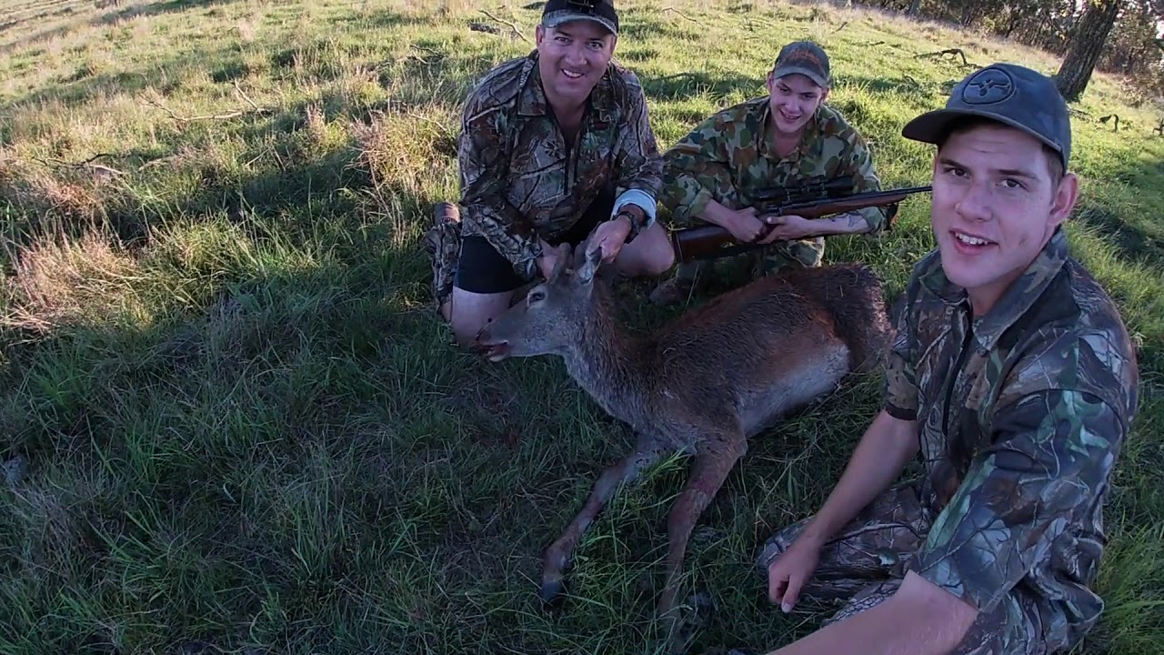 Deer Hunt and Cook Heart, Brain, Liver and Kidney YouTube