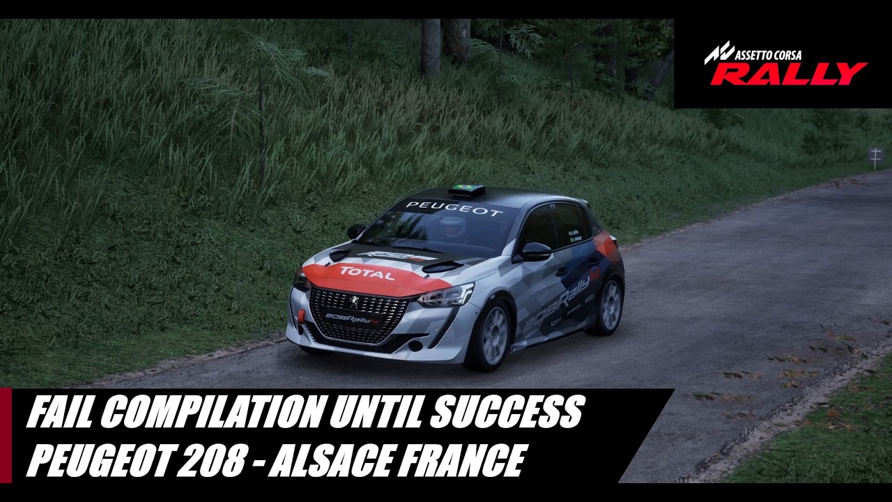 I FAILED MANY TIMES BEFORE FINISHING THIS STAGE: ASSETTO CORSA RALLY GAMEPLAY