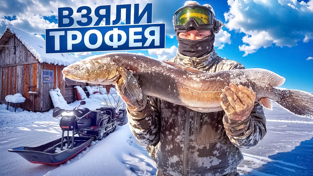 ВЫТАЩИЛИ КРОКОДИЛА//ЖЕРЛИЦЫ СТРЕЛЯЮТ//ЖИВЕМ В ИЗБЕ//ТОПИМ ПЕЧЬ