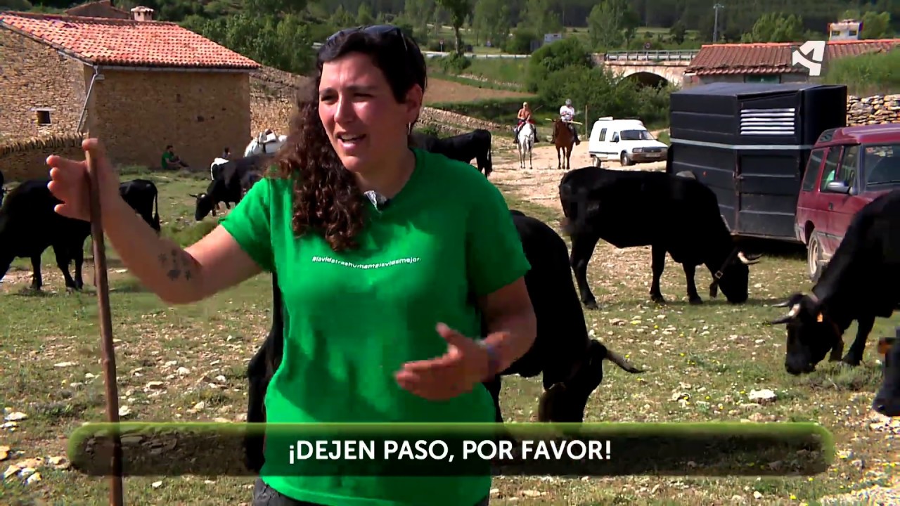 Trashumancia en La Iglesuela del Cid