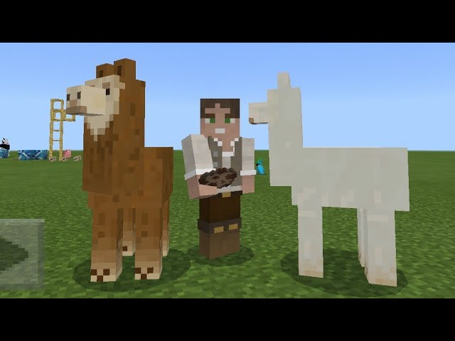 EU SÓ QUERIA ADOTAR UM BURRO NO MINECRAFT #MINECRAFT