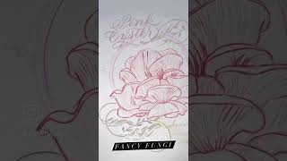 🍄 FANCY FUNGI WNTR-SPNG ’23 Online via Google Meet🌷 #onlinecalligraphycourse #flora #fungi