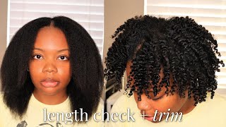 3 Years After Big Chop: Shocking Natural Hair Growth