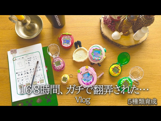 Raising 5 Tamagotchis at Once: 7 Days of Total Chaos!｜Tamagotchi