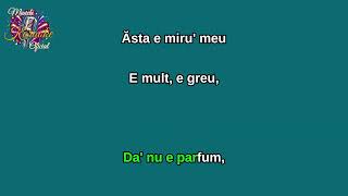 Johny Romano - E Mult, E Greu... Karaoke - Best Quality