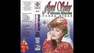 Aysel Seker - Divane Gonlum & Harca Biraz (Kaset Album Kapak)