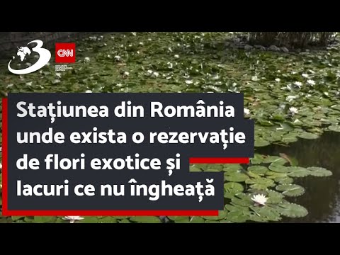 Video: Pentru ce este cunoscută rezervația Khopersky?