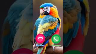 #ringtone #smartphone #ringtones #music
