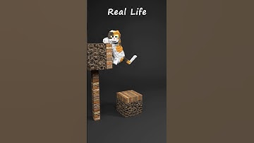 Minecraft vs Real Life 🔥🔥🔥 3D Simulation
