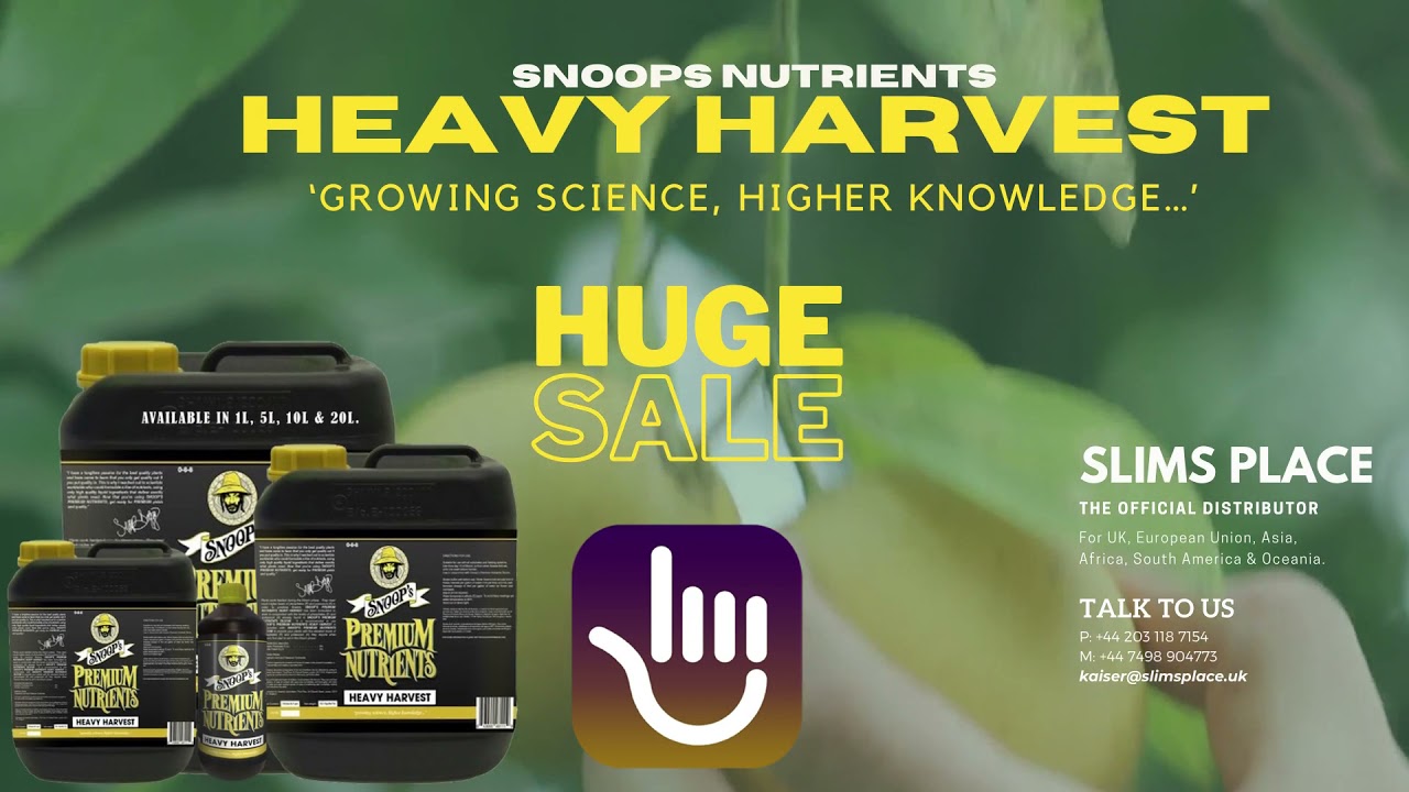 Snoops Heavy Harvest