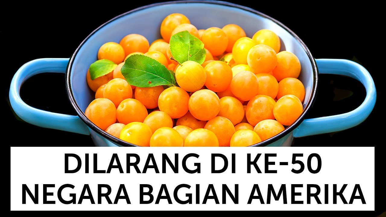 Plum Kuning Dilarang di Amerika Serikat dan 21 Makanan Lain 