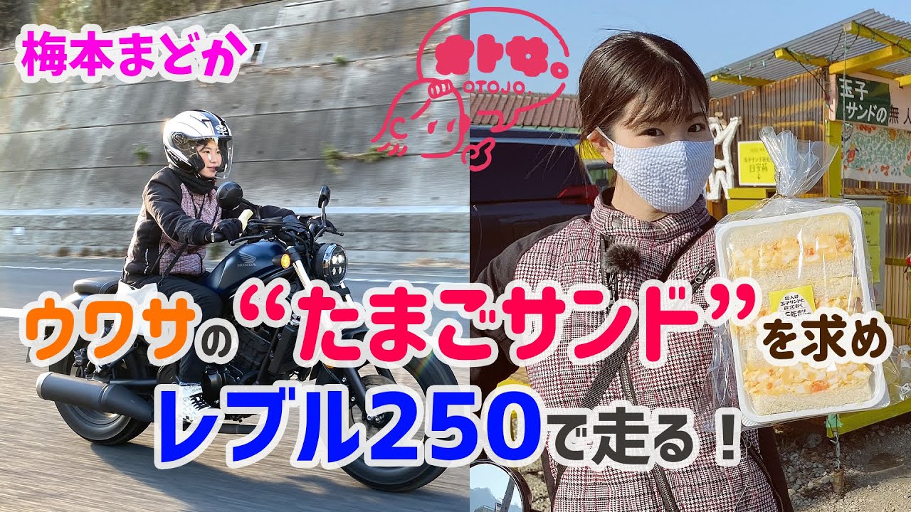 たまさんS BADX S-HOLD S-8M｜エスホールド S-8M