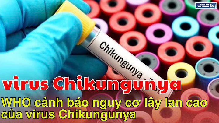 WHO cảnh báo nguy cơ lây lan cao của virus Chikungunya