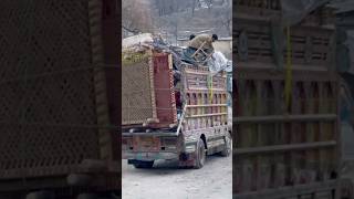 People of Tirah Valley are still longing for their homes 💔#shorts