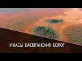 Ужасы Васюганских болот