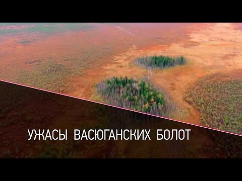 Видео: Когда была построена торфяная пустошь?