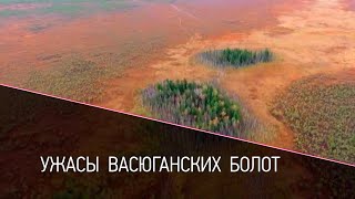 Ужасы Васюганских болот