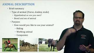 Horse Care Module 2: Episode 10. Animal Description and Hoof Care plan.