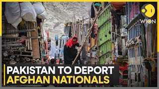 Pakistan's crack down on Afghanistan migrants, to deport 67,000 Afghans after Eid | World News| WION