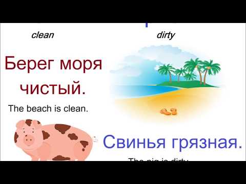№ 177 Учим русский язык : прилагательные с антонимами.