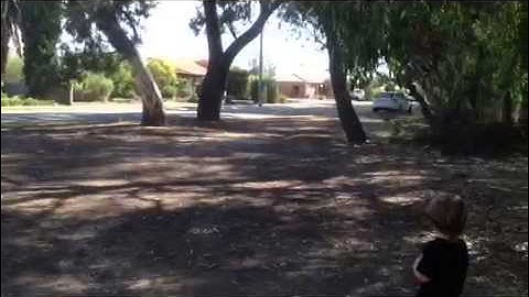 HPI E-Firestorm fails