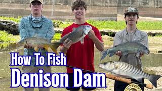Denison Dam Fishing 101 Ten Species Caught