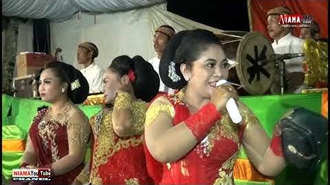 SURYO LARAS, Tari gambyong Gending pambuko d rmh Bpk Waris Pule Trenggalek, Niama video shoting