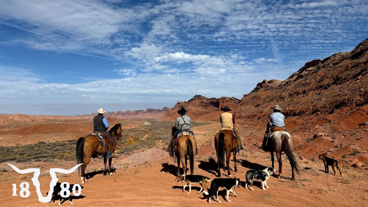 Жизнь скотовода в пустыне. На ранчо совершен акт вандализма.