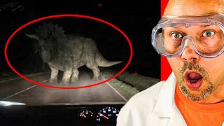 Insane Dinosaurs Caught On Camera