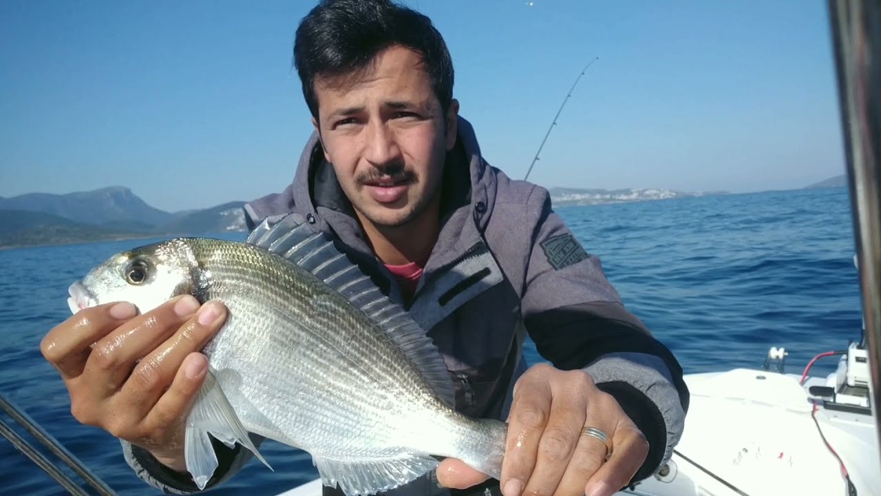 Midye ile Çupra avı | Midyenin Kancaya takılışı | Takozlarla dövüştük | Bodrum Çupra Avı