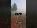 ભર ઉનાળે ધુમ્મસ #farming #villagelife #viralvideo