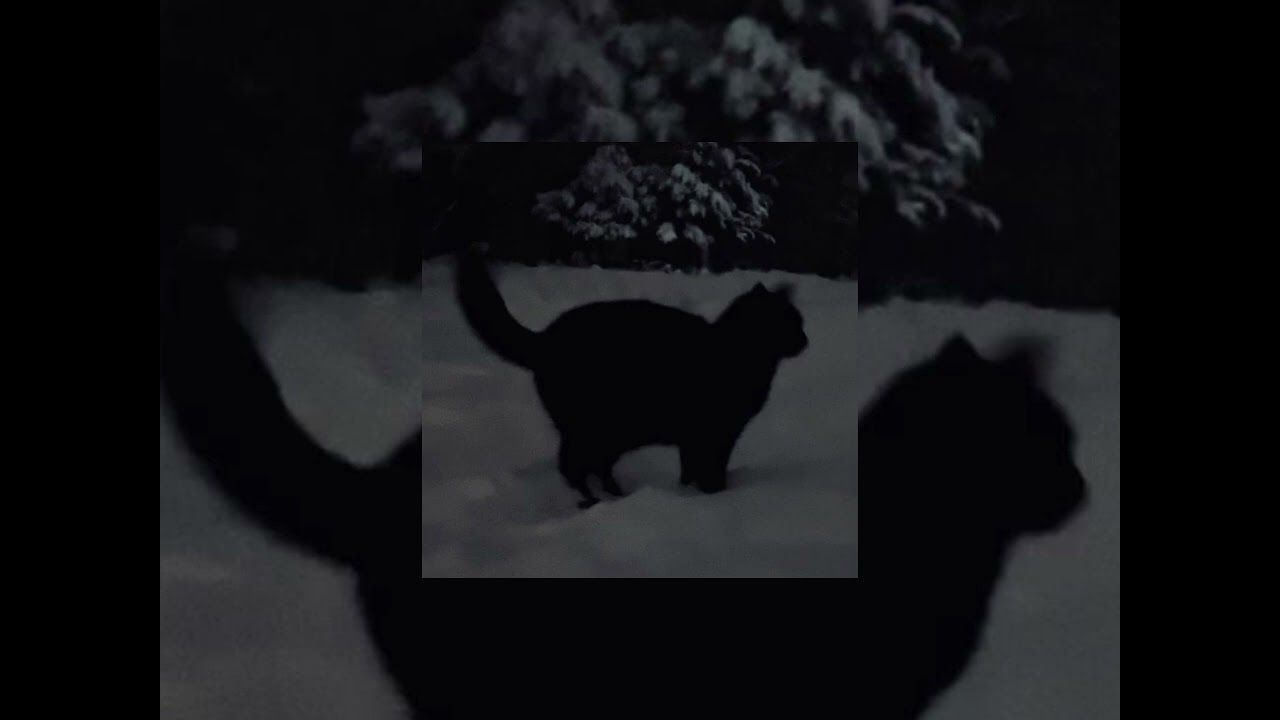 Музыка для флешмоба#музыка #флешмоб #тренды #тренд #класс #music #ухтыпухты