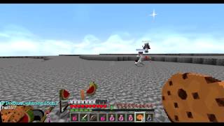MineZ Clips 18
