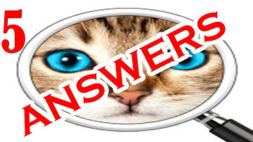 Guess the Pic! 2 ~ Photo Quiz Level 5 - All Answers - Walkthrough